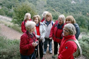 Colla Rotary admirant els pesebres