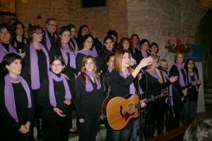 concert nadal Rotary Sant Pere 2012-6