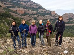 excursio rotary sot carda 4