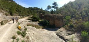 Panoramica tines Ricardo 2