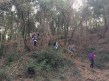 caminant pel bosc vell 1